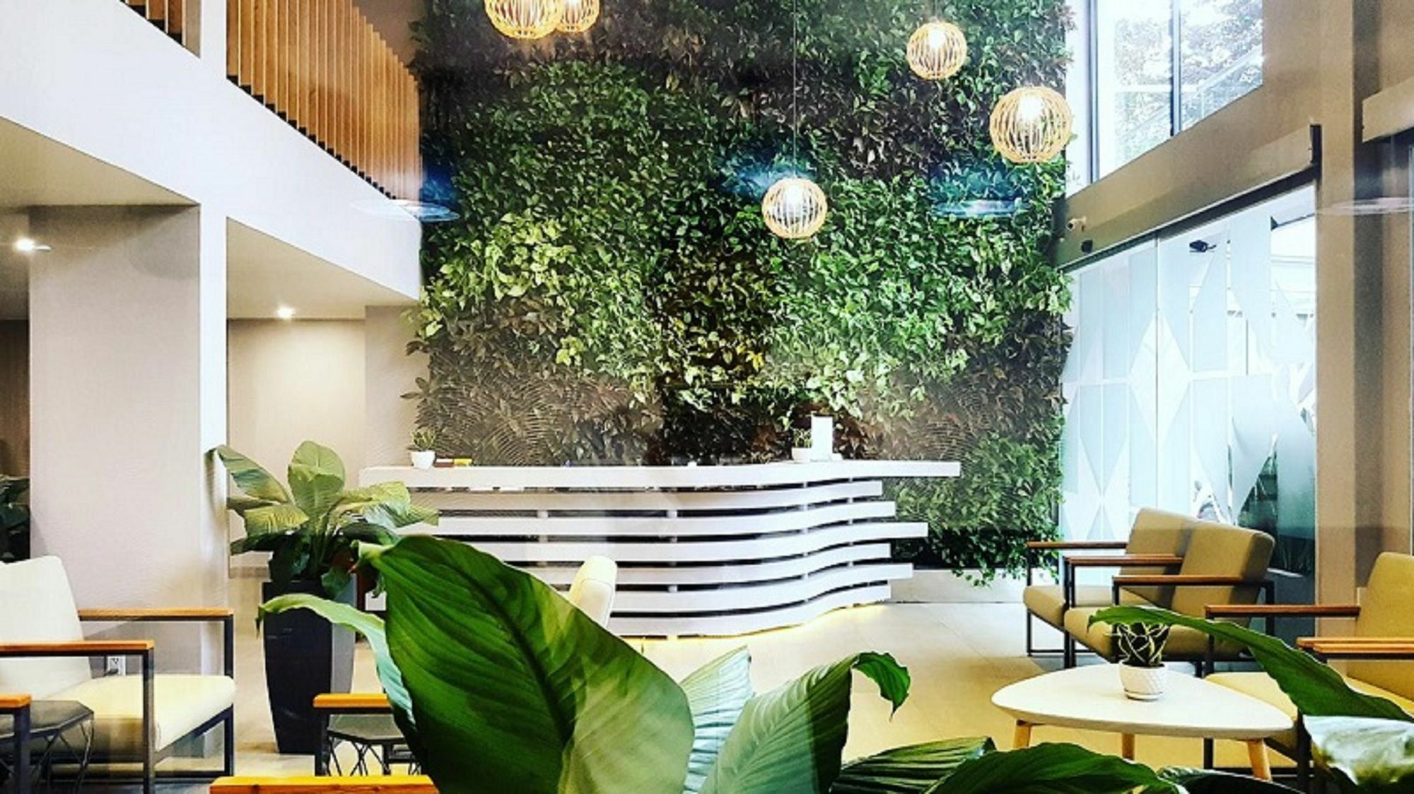 Royal Dragon Boutique Hotel Tan Binh Ciudad Ho Chi Minh  Exterior foto
